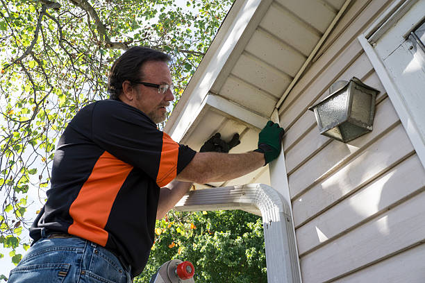 Trusted Darmstadt, IN Siding Experts